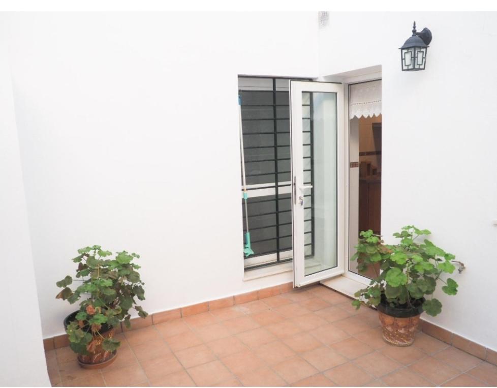 Conilplus Apartment Castilnovo Conil De La Frontera Bagian luar foto